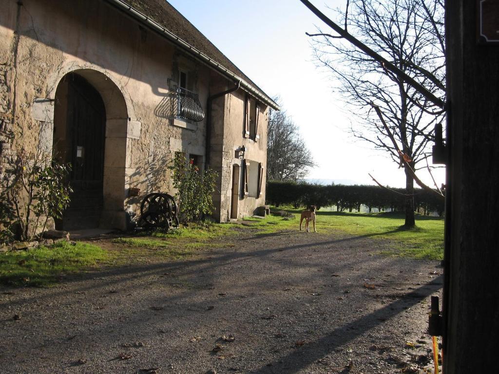 Chez Robert Et Catherine Dompierre-sur-Mont Rum bild